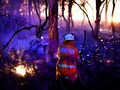 Mereka yang Telanjang Demi Karhutla Australia