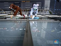 Ada Tikus & Babi Hutan Bersih-bersih Gedung Sambut Tahun Baru