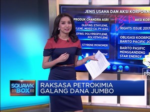 Raksasa Petrokimia Galang Dana Jumbo
