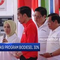 Kepada Jokowi, Dirut Pertamina Paparkan Progres Program B30
