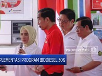 Kepada Jokowi, Dirut Pertamina Paparkan Progres Program B30