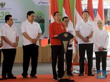 Pak Jokowi, Yakin Nih B30 Bisa Usir Hantu CAD?