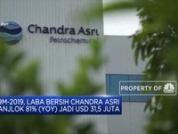 Pendapatan Anjlok, Laba Bersih TPIA Merosot 81,48%