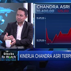 Laba Terperosok 81,4%, Begini Analisis Kinerja Chandra Asri
