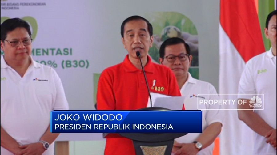 Jokowi bodo amat soal diskriminasi CPO oleh Eropa, menurutnya bisa dioptimalkan oleh Indonesia sendiri. 