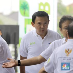Gebrakan Ahok: Mau Turunkan Harga Gas & Kawal Subsidi BBM-LPG