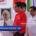 B30 Baru Jalan, Jokowi Mau RI Buru-buru ke B40