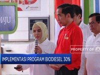 B30 Baru Jalan, Jokowi Mau RI Buru-buru ke B40
