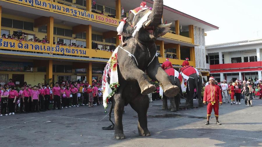 Berikut deretan gambar unik saat memperingati perayaan natal