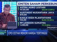 CPO Cetak Rekor Harga Tertinggi, Kinerja Emiten Terkerek Naik