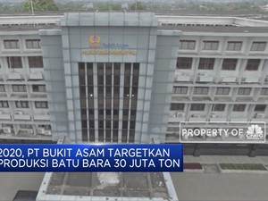 2020, PTBA Targetkan Produksi Batu Bara 30 Juta Ton