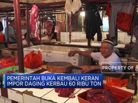 Pemerintah Buka Lagi Keran Impor Daging Kerbau 60 Ribu Ton