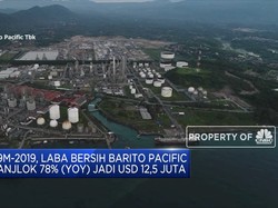 Laba Barito Pacific Anjlok 78% (yoy) Jadi USD 12,5 Juta