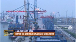 Hapus Ekspor Benih Lobster hingga Negara Islam Buang Dolar AS