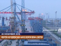 Hapus Ekspor Benih Lobster hingga Negara Islam Buang Dolar AS