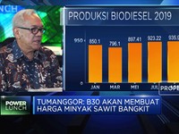 APROBI: Penerapan B30 Bisa Dongkrak Harga CPO