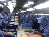 Menteri Trenggono Ingin 'Banjiri' China dengan Udang Asal RI