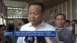 Menteri Edhy Pastikan Tidak Teruskan Ekspor Benih Lobster