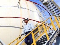 Wow! Chandra Asri Milik Prajogo Rights Issue 7 Miliar Saham