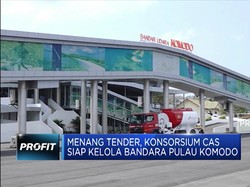 Operator Bandara Changi Siap Kelola Bandara Pulau Komodo