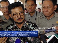 Yasin Limpo: Flu Babi Jangan Sampai Ganggu Ekspor