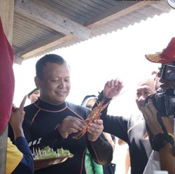Kontroversi Menteri Edhy, Dari Cantrang Hingga Ekspor Lobster
