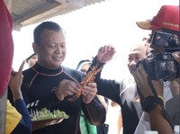 Kontroversi Menteri Edhy, Dari Cantrang Hingga Ekspor Lobster