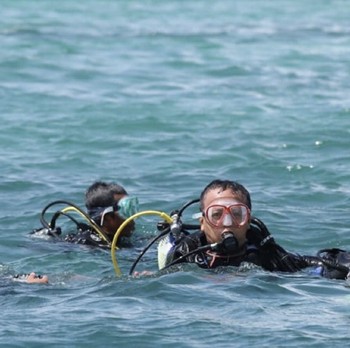 Gaya Edhy Prabowo Menyelam & Pantau Budi Daya Lobster Lombok