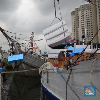 Mengintip Aktivitas Bongkar Muat di Pelabuhan Sunda Kelapa