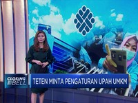 Teten Masduki Usul Omnibus Law Atur Upah Pekerja UMKM