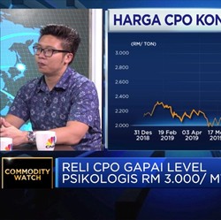 Proyeksi Laju Kenaikan Harga CPO di 2020