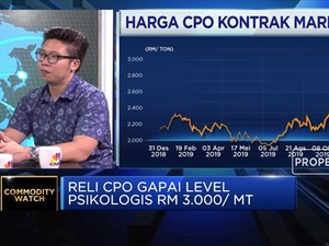 Proyeksi Laju Kenaikan Harga CPO di 2020