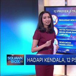 Hadapi Kendala, 12 PSN Molor