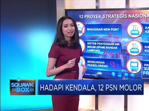Hadapi Kendala, 12 PSN Molor