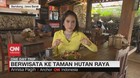 VIDEO: Berwisata ke Taman Hutan Raya