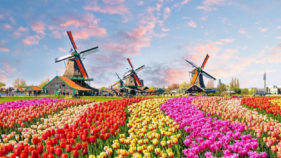 Ilustrasi Belanda