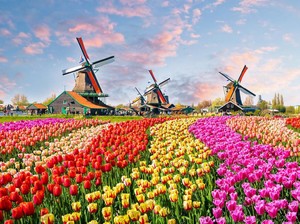 Apa Perbedaan Holland, Dutch, Belanda dan Netherland yang Sering Dikira Sama?