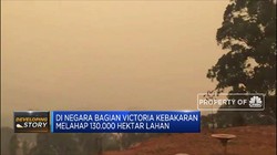 Kebakaran Australia Batalkan Pesta Kembang Api