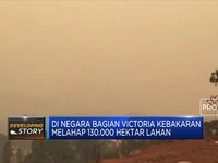 Kebakaran Australia Batalkan Pesta Kembang Api
