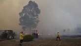 Hingga kini kebakaran hutan di Australia telah menewaskan sembilan orang dan menghancurkan lebih dari 1.000 rumah dalam beberapa bulan terakhir. (Saeed KHAN / AFP)
