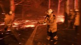Akibat karhutla tersebut, ribuan satwa khas Australia seperti koala dan kanguru diperkirakan mati. (Saeed KHAN / AFP)