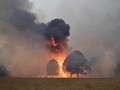 Kebakaran Hutan, WNI Diimbau Tinggalkan Daerah Australia