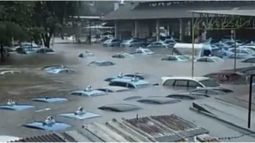 Pool Banjir Berapa Armada Terendam Kerugian Blue Bird