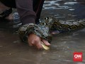 Banjir Jakarta, Warga Cipete Temukan Ular Masuk ke Rumah