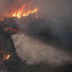 Penampakan, Dahsyatnya Kebakaran Hutan di Australia