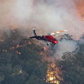 Kebakaran Hutan Kepung Australia, Selandia Baru Kirim Bantuan