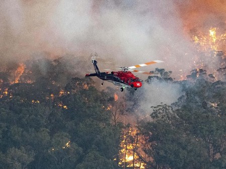 Ngeri Hutan Terbakar Langit Australia Masih Merah Membara