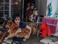 Nomor Telepon Pelayanan dan Penyelamatan Hewan Saat Banjir