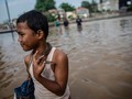 Waspada Ular Usai Banjir