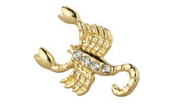 Ramalan Kartu Tarot Zodiak Scorpio 2020